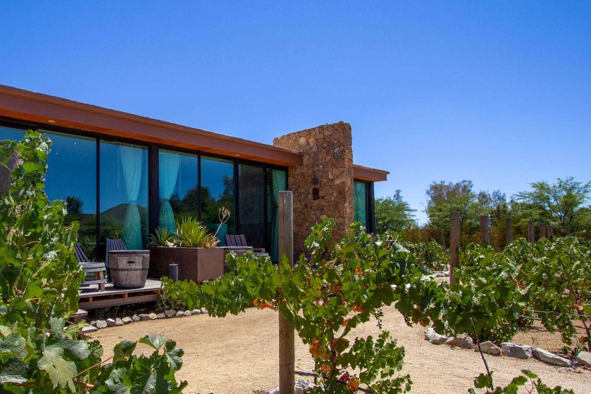 Hotel Boutique Valle De Guadalupe & Spa חדר תמונה