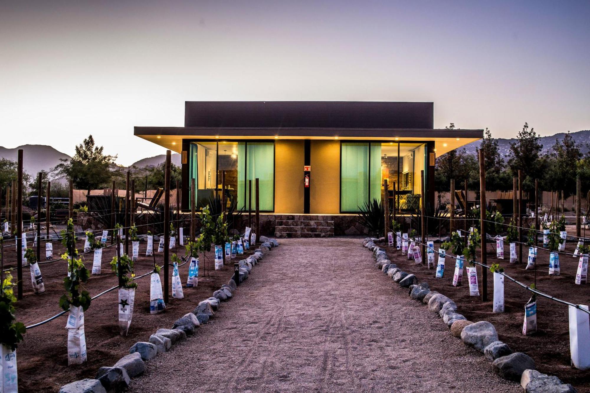 Hotel Boutique Valle De Guadalupe & Spa חדר תמונה