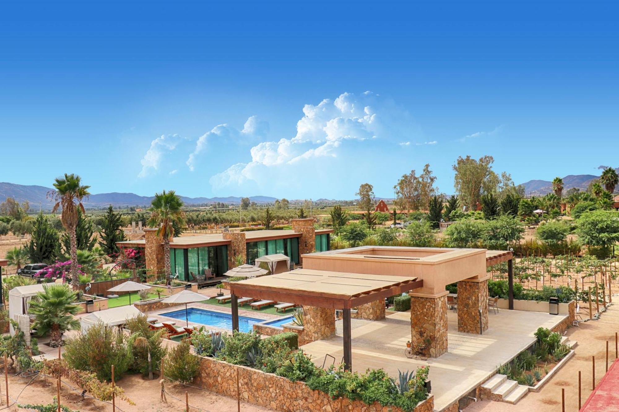 Hotel Boutique Valle De Guadalupe & Spa חדר תמונה
